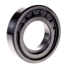 Double Row Cylindrical Roller Bearing NN3018K NN3019K NN3020K NN3021K Japan/Germany Brand